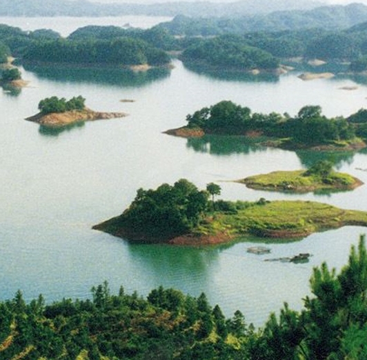 肇庆粉象生活能拿几代佣金