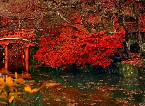 粉象生活真实身份