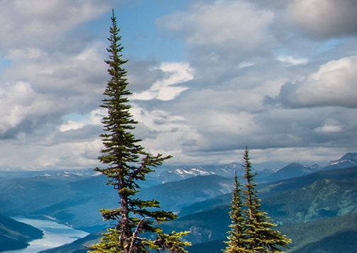 粉象生活返佣是真的吗