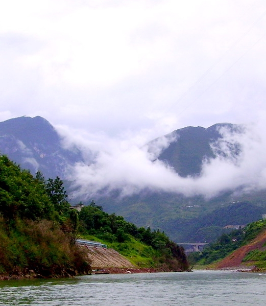 江门粉象生活收入