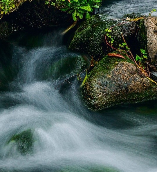粉象生活下载app