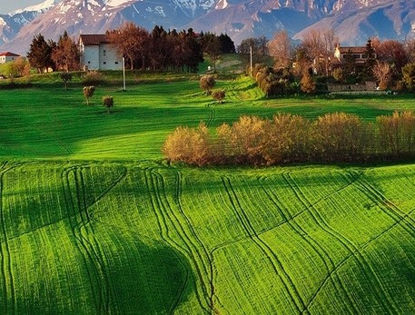 粉象生活公司简介