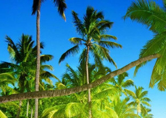 粉象生活账号注销后怎么注册