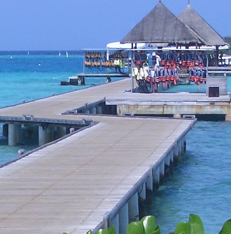 粉象生活怎么赚积分