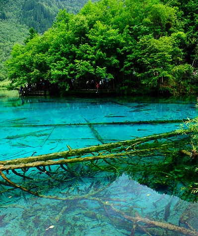 推广粉象生活app