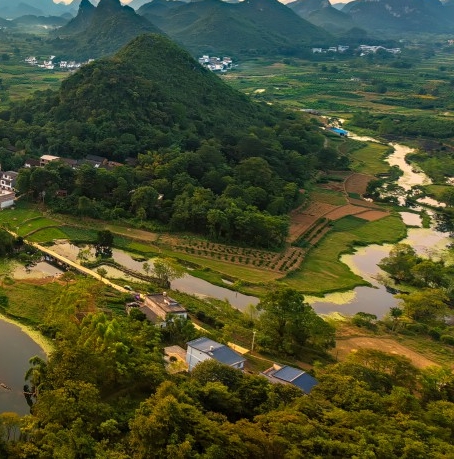 粉象是不是国家正式合法