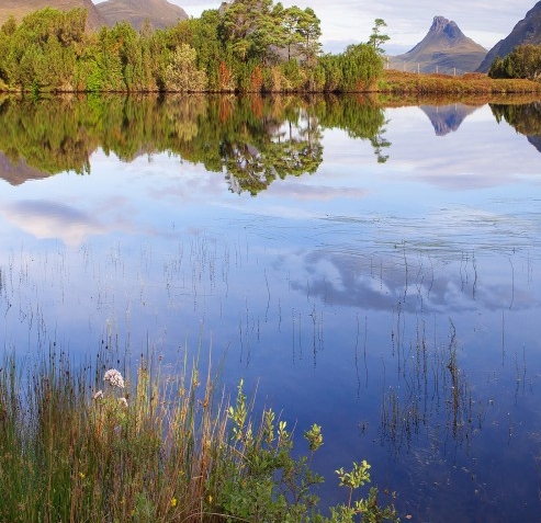 粉象生活注销改邀请码