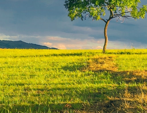 粉象生活奖金模式