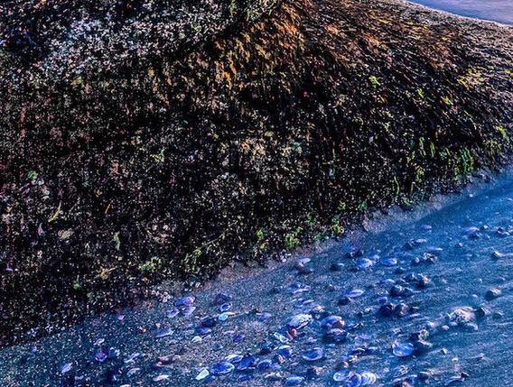 粉象生活怎么赚钱