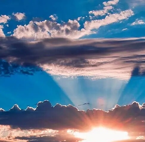 粉象生活粉丝怎么增加