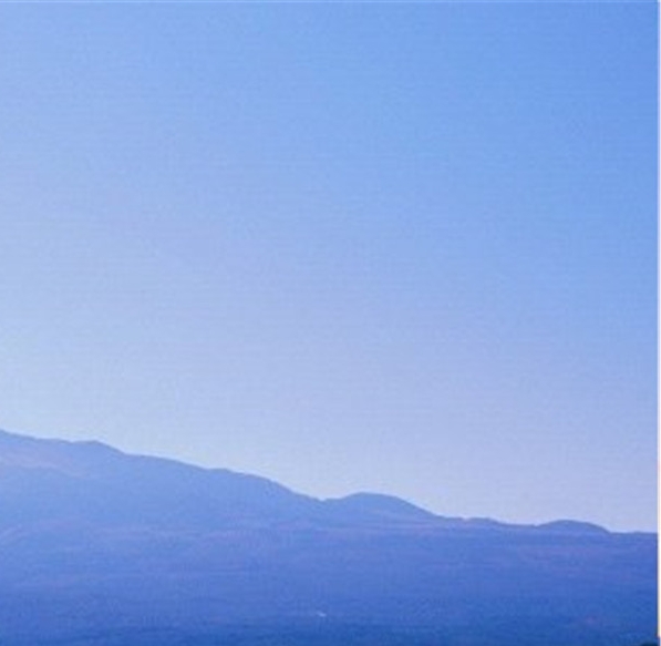 粉象生活佣金分配