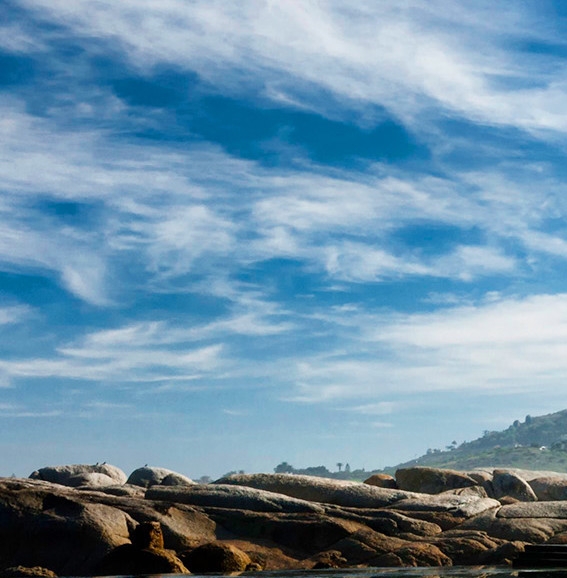 粉象生活的购物车在哪里