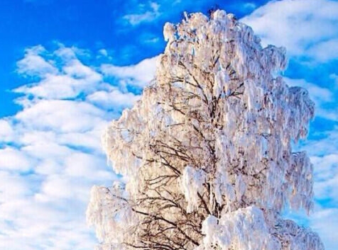 江苏运营粉象生活怎么样