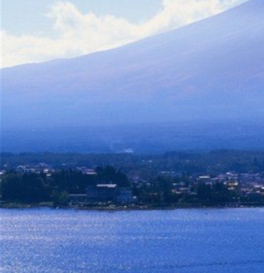 粉象生活一手邀请码