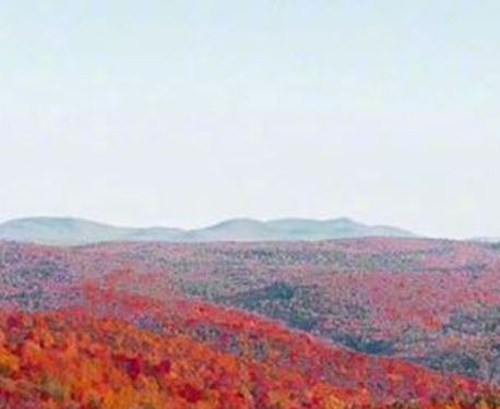 粉象生活如何推广