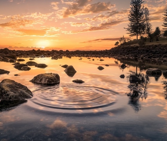 淘宝怎么解除粉象生活授权