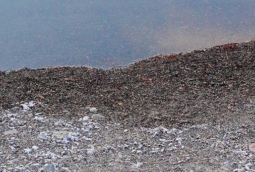 粉象生活到底能不能做