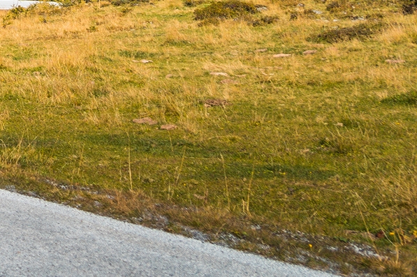 粉象生活怎么推广引流加粉丝