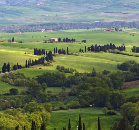 厦门粉象生活佣金