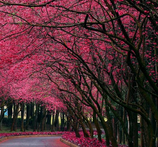 粉象生活为什么要20个合伙人