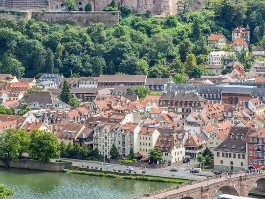 粉象生活里怎么发送邀请码