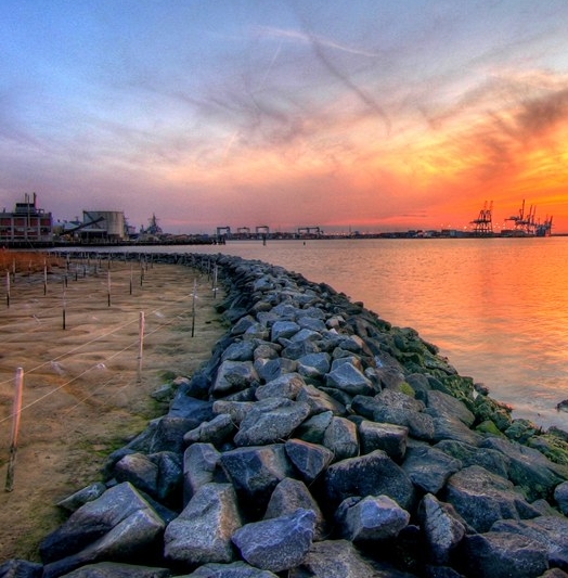 粉象生活靠什么盈利