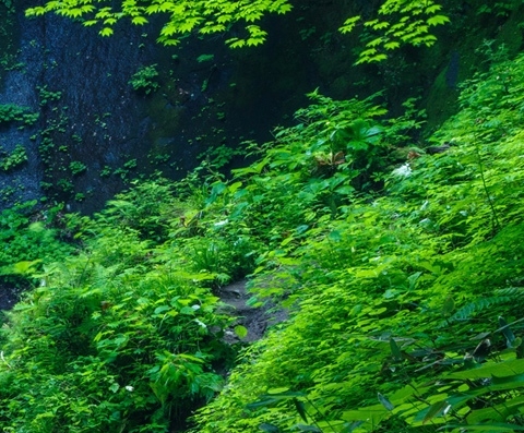 粉象生活招聘