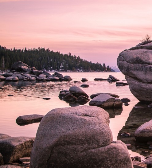 德州粉象生活图片