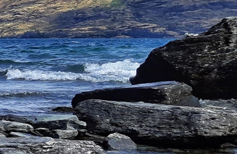 怎么打开粉象生活