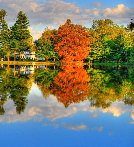 粉象生活下载app