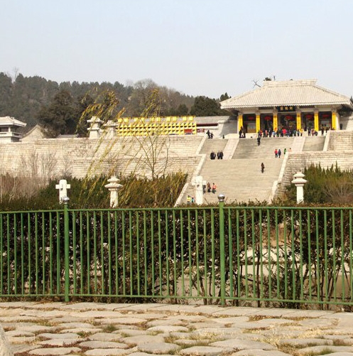 绵阳粉象生活vip