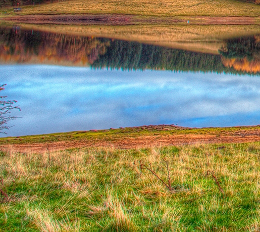粉象生活平台可靠吗