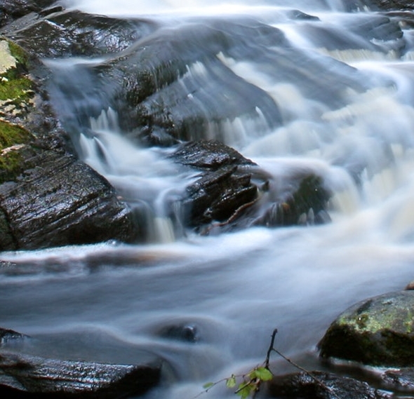 怎样把淘宝商品放到粉象