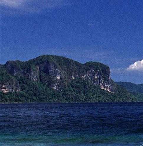 粉象生活怎么加入淘宝客