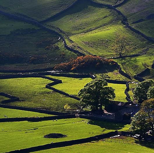 粉象生活加入团队的流程