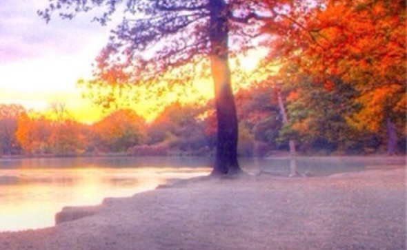 粉象生活手机端能注册吗