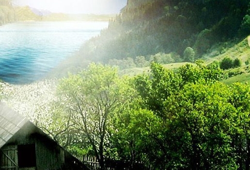 怎么入驻粉象生活