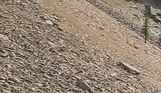 用粉象生活买东西、返现卖家能看到吗