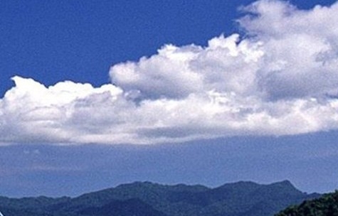 粉象生活官网免费试用