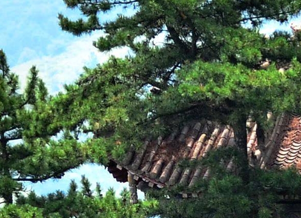 粉象生活彩票真实吗