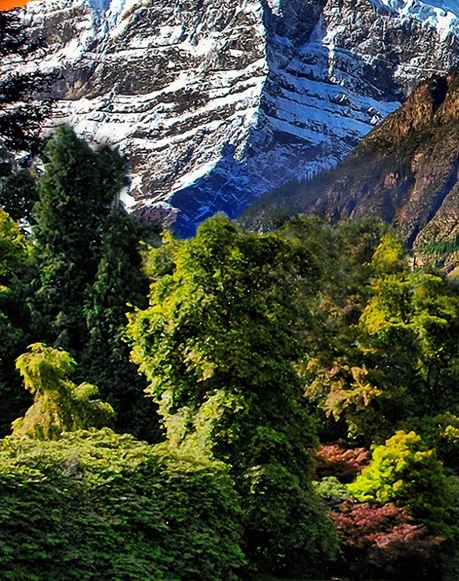 粉象生活手机怎么发货