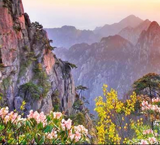 最新版粉象生活app下载安装