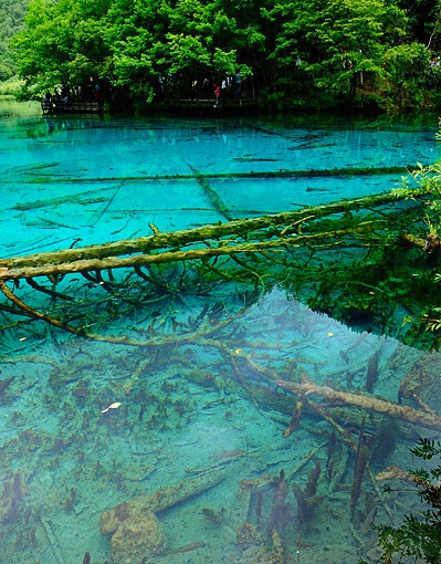 粉象生活上的新人优惠券