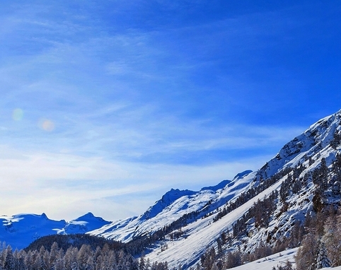 粉象生活粉丝怎么增加