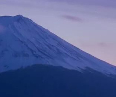 粉象生活推广注册