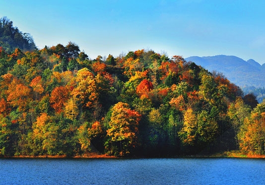 粉象生活邀请码