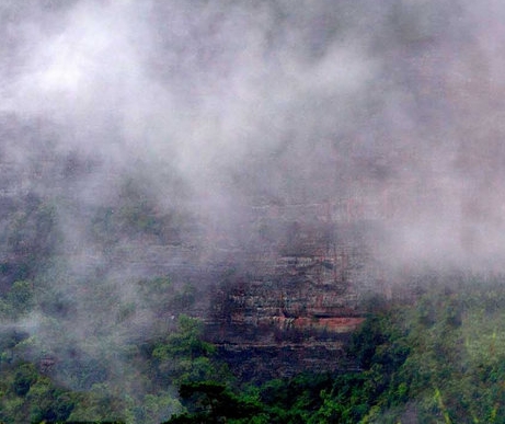 粉象生活怎么注册开店铺