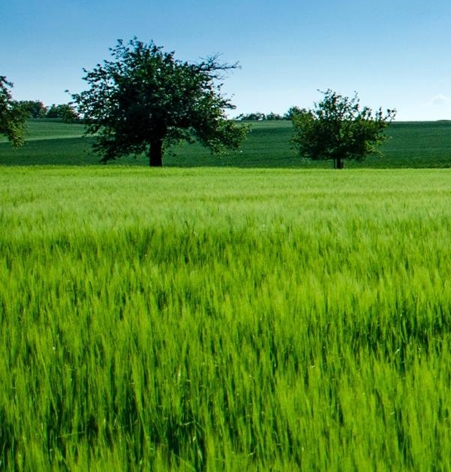 如何注册粉象生活会员