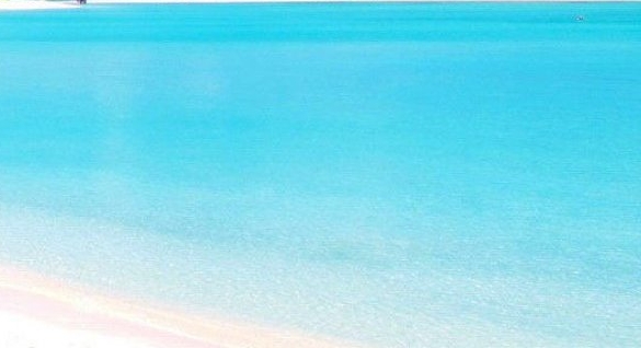 粉象生活苹果手机怎么用不了