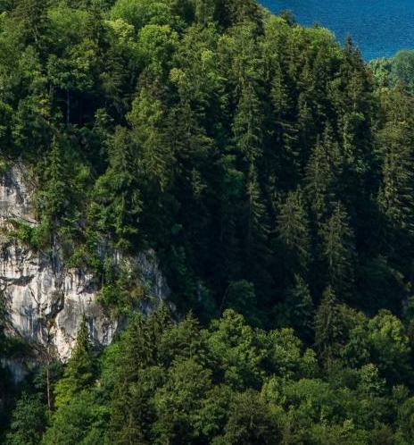 粉象生活新人购物截屏